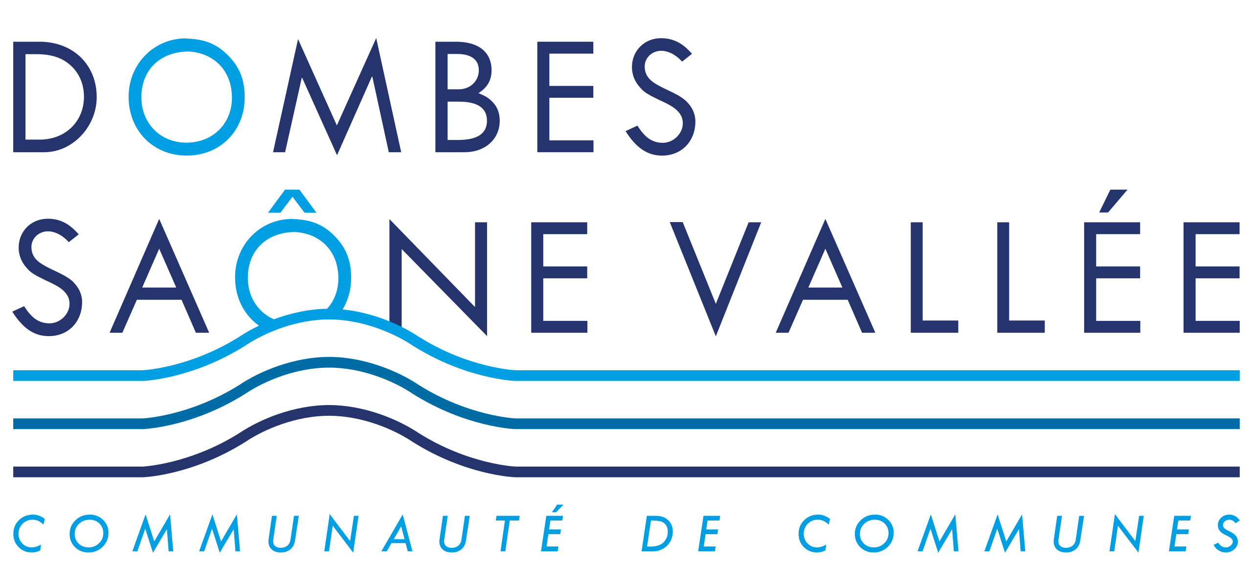 Logo de l'actionnaire Communauté de Communes Dombes Saône Vallée